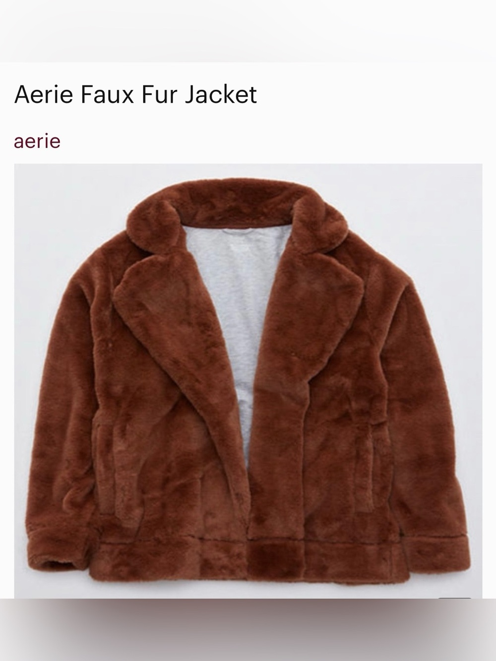 aerie Plush Faux Fur Teddy Jacket in Rich Brown